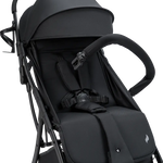 Vegas Carbon