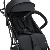 Vegas Carbon