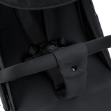 Vegas Carbon