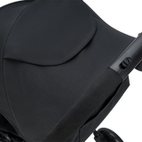 Vegas Carbon