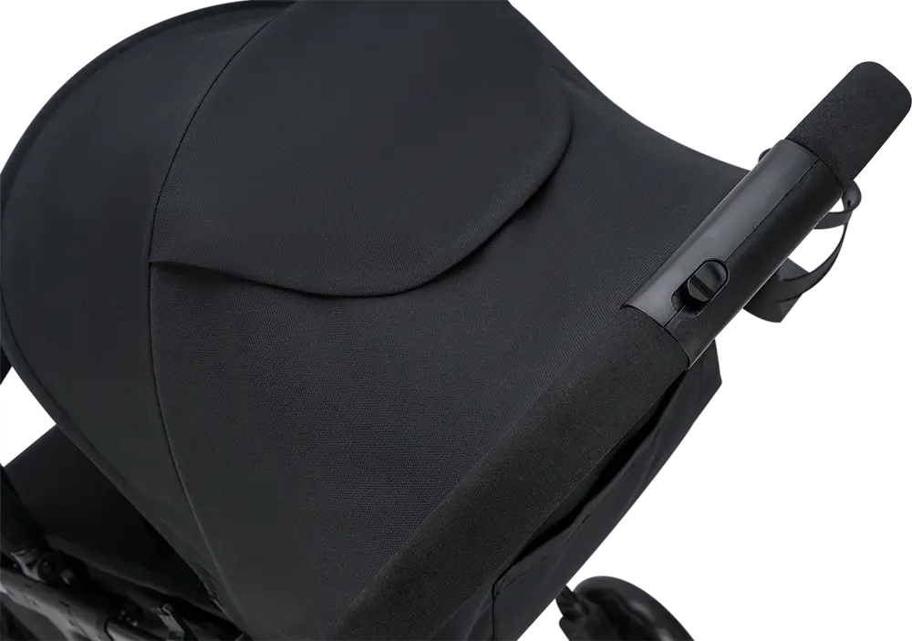 Vegas Carbon