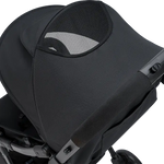 Vegas Carbon