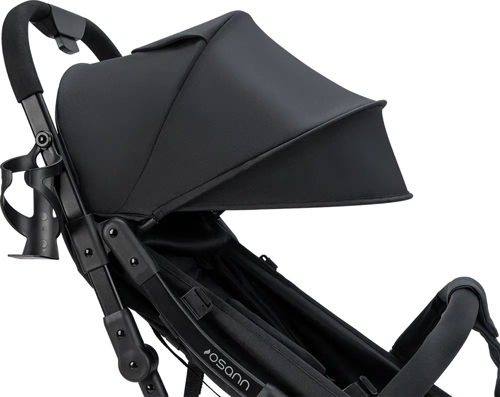 Vegas Carbon