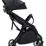 Vegas Carbon